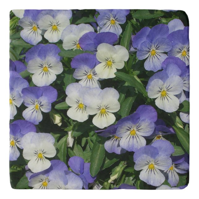 Purple Pansies Garden Floral Trivet (Front)