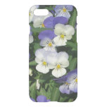 Purple Pansies Garden Floral iPhone SE/8/7 Case