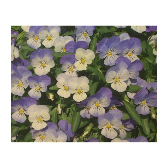 Purple Pansies Garden Floral Wood Wall Art (Front)