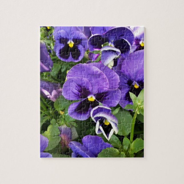 purple pansies jigsaw puzzle (Vertical)