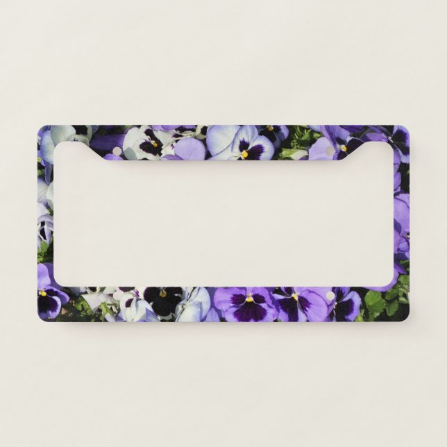 Purple Pansies License Plate Frame (Front)