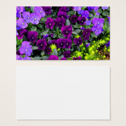 Purple Pansies Note Cards (Front & Back)