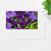 Purple Pansies Note Cards (Desk)