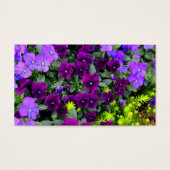 Purple Pansies Note Cards (Front)