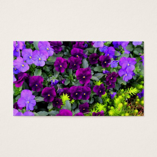 Purple Pansies Note Cards (Front)