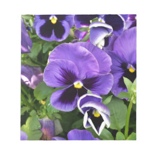 purple pansies notepad