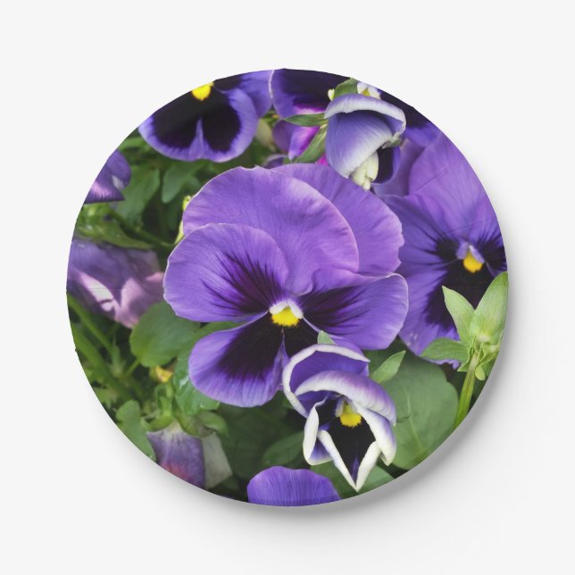 purple pansies paper plates (Front)