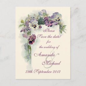 Purple pansies Save the Date Announcement Postcard