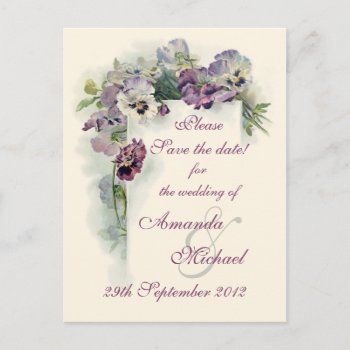 Purple Pansies Save The Date Announcement Postcard by Past_Impressions at Zazzle