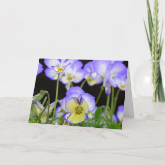 Purple Pansy Card