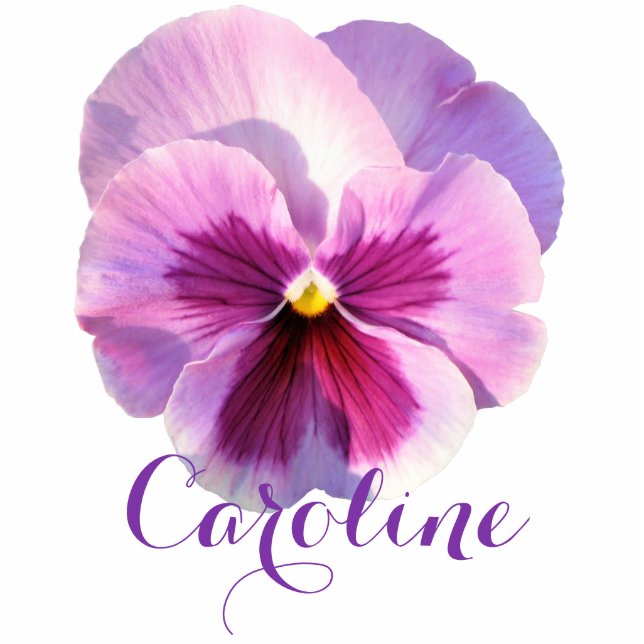 Purple Pansy Custom Name Cutout (Front)