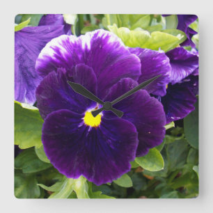 Purple Pansy Delights, Square Wall Clock