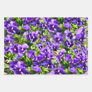 Purple Pansy Field, Gift Wrap, Decoupage Sheets, Wrapping Paper Sheets