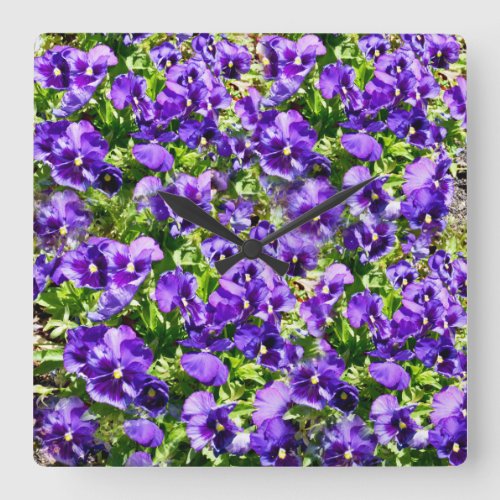 Purple Pansy Field Square Wall Clock