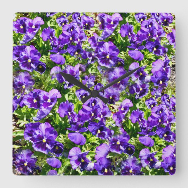 Purple Pansy Field, Square Wall Clock (Front)