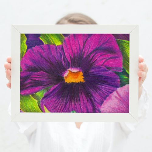 Purple Pansy Flower Closeup Drawing Original Art Poster