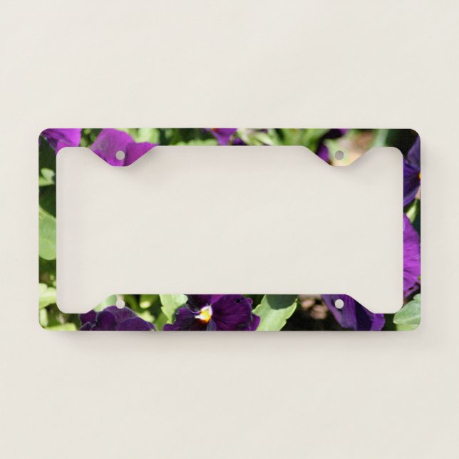 Purple Pansy Flowers License Plate Frame (Front)