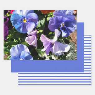 Purple Pansy Flowers Stripes and Solid Wrapping Paper Sheets