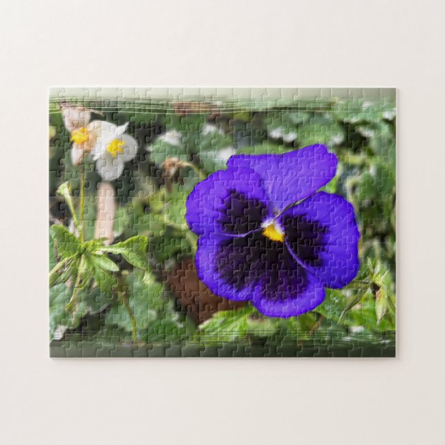 Purple pansy jigsaw puzzle (Horizontal)