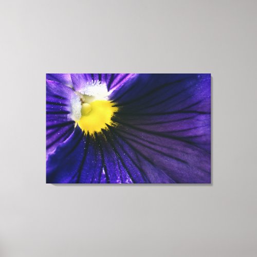 Purple pansy macro photograph elegant canvas print