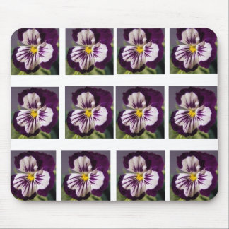 Purple Pansy Mouse Pad