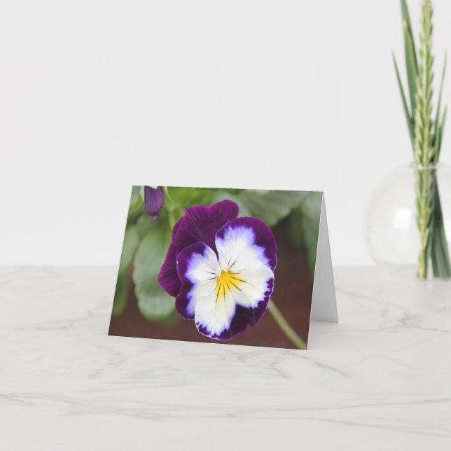 Purple Pansy Note Cards, blank inside Card (Front)