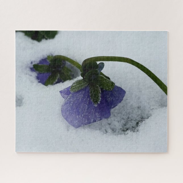 Purple pansy on the snow jigsaw puzzle (Horizontal)