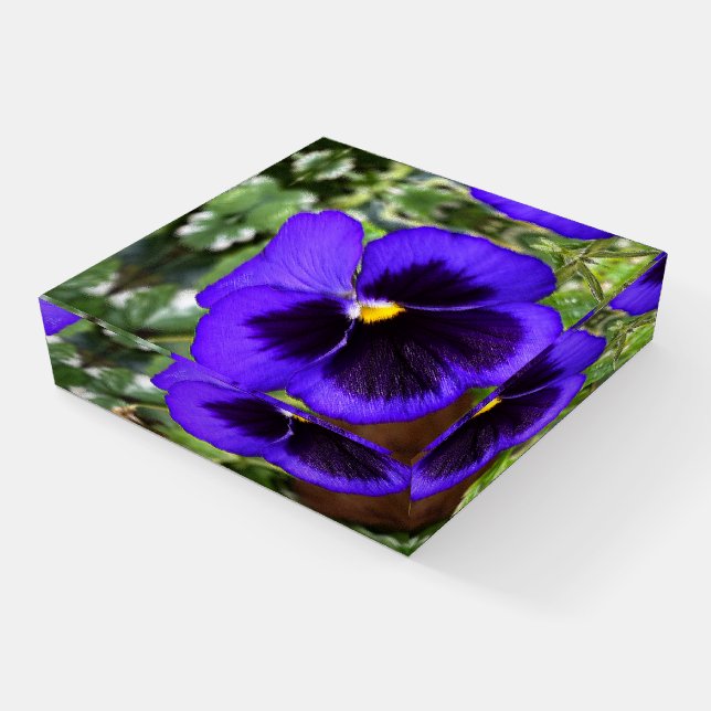 Purple pansy paperweight (Angled)