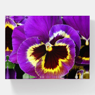 Purple pansy paperweight