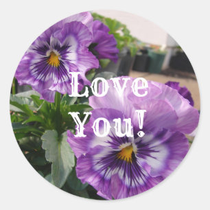 Purple Pansy Photo flowers floral Love Sticker Set