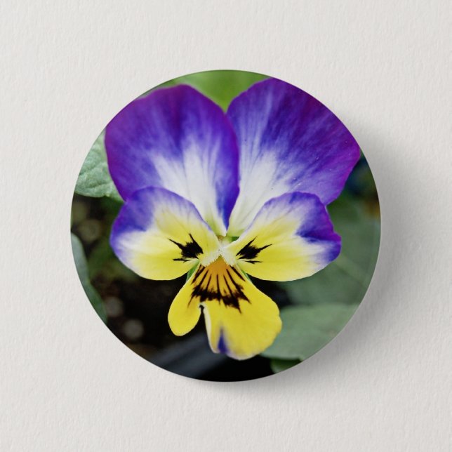 Purple Pansy Pinback Button (Front)