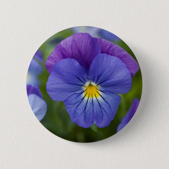 Purple Pansy Pinback Button (Front)