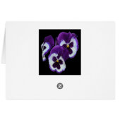 Purple_Pansy_Posy,_ (Back Horizontal)