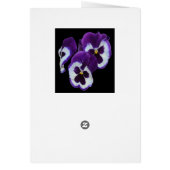 Purple Pansy Posy, (Back)