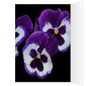 Purple Pansy Posy, (Inside (Left))