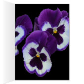 Purple Pansy Posy, (Inside (Right))