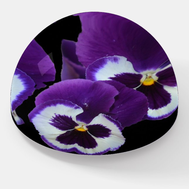 Purple Pansy Posy, Paperweight (Angled)