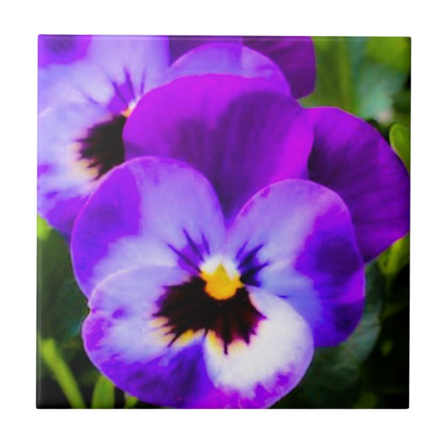 Purple Pansy Tile (Front)