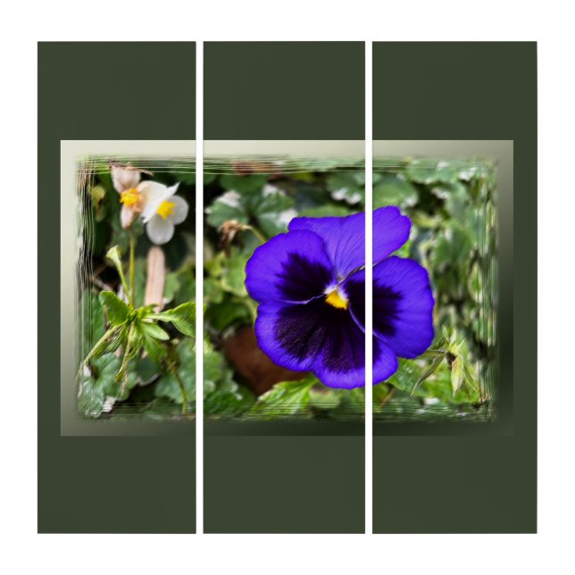 Purple pansy triptych (Front)
