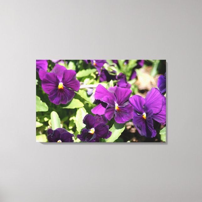 Purple Pansy Wrapped Art Canvas Print (Front)