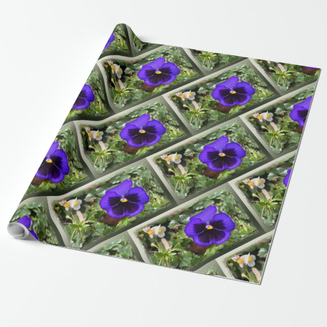 Purple pansy wrapping paper (Unrolled)