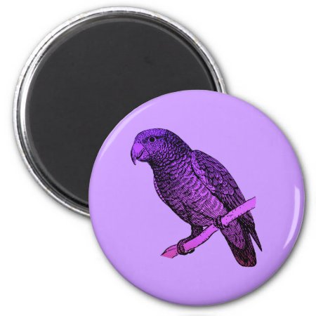 Purple Parrot Magnet