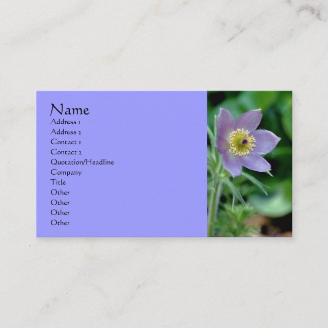 Purple Pasque Flower Photography Business Card (Front)