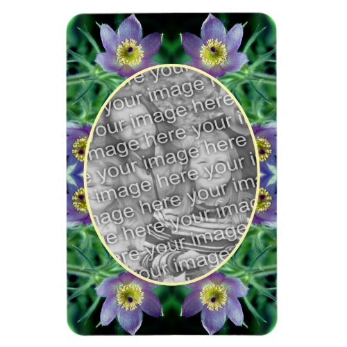 Purple Pasque Flowers Create Your Own Photo Magnet