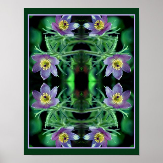 Purple Pasque Spring Flowers Abstract Poster (Front)