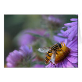 Purple Passion (Front Horizontal)