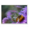 Purple Passion