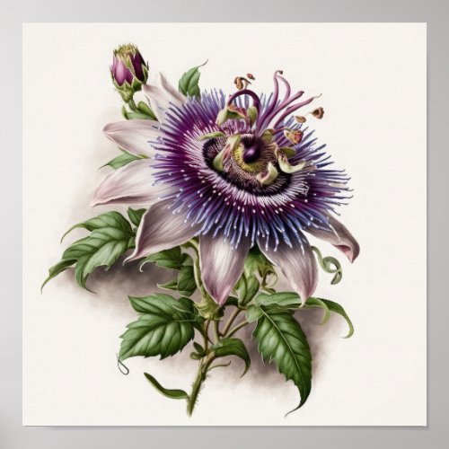 Purple Passion Flower Art Print Poster