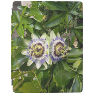 Purple Passion Flower Botanical iPad Case Cover