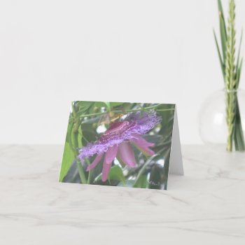 Purple Passion Flower Note Cards by lifethroughalens at Zazzle